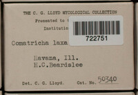 Image Associated With the Occurence